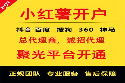 成功SEM服务案例分析报告